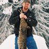 Western Bobcat