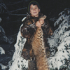 Western Bobcat