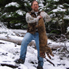 Western Bobcat