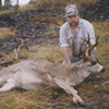 Blacktail Deer