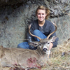 Rifle Blacktail Deer