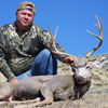 Rifle Mule Deer Wyoming