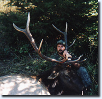 Oregon Roosevelt Elk